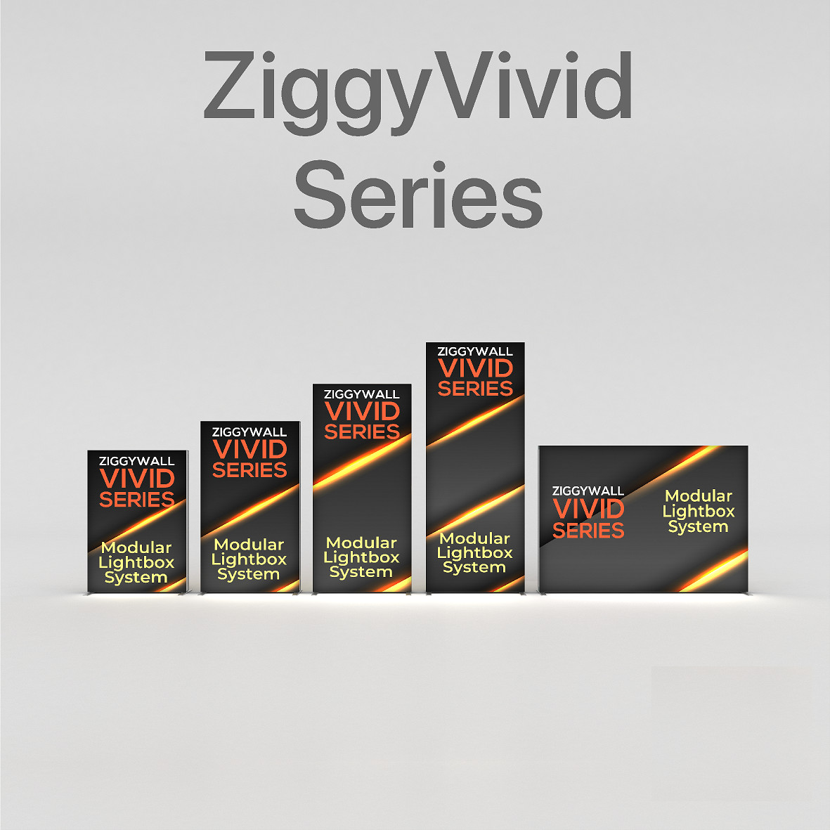ZiggyVivid Series